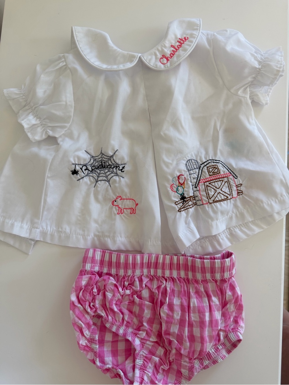 Charlotte’s Web Birthday Embroidered Girls' Top & Pink Gingham Bloomers Set
